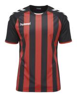 Hummel JERSEY 1/2 Core gestreepte jersey ss - thumbnail