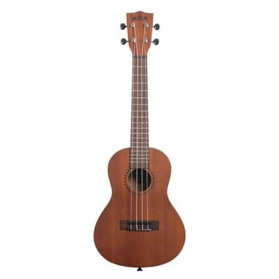 Kala Learn To Play Ukulele Concert Starter Kit set concert ukelele