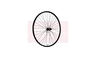 Roland Voorwiel 28 inch 622 zwart schijfrem centerlock rival 21