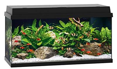Juwel aquarium Primo 110 met filter zwart Juwel Gebr. de Boon - Gebr de boon