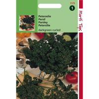Zaden Peterselie Hortitops - Hortitops - thumbnail