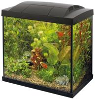 Superfish Start 50 tropical kit zwart - thumbnail