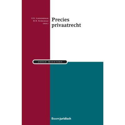 Precies privaatrecht (Paperback)
