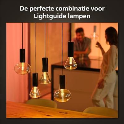 Philips Hue Lightguide Cord - 929003152101