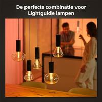 Philips Hue Lightguide Cord - 929003152101 - thumbnail
