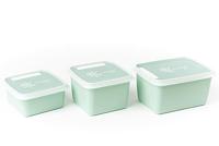 DBP Alaska Diepvriesdozen Vierkant 0.5L 3 Stuks Mintgroen - thumbnail