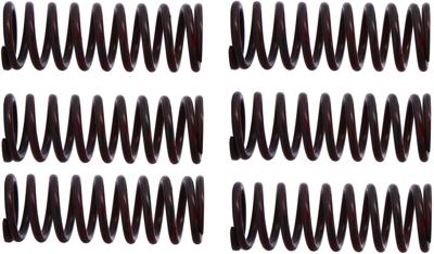 TRW koppelingsveer set clutch spring kit mef302-6