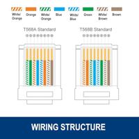 Stevige UTP-netwerkkabel Cat6 Ewent IM1206 - thumbnail