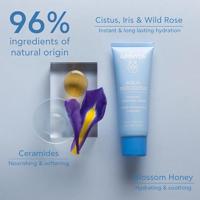 Apivita Face Aqua Beelicious Comfort Hydrating Cream 40ml - thumbnail