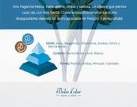 Geurolie Brumas de ambiente 50 ml Iris Boles d'olor - Boles d olor - thumbnail