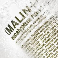 Malin+Goetz Eucalyptus Hand+Body Wash - thumbnail