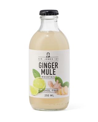 HEMA Alcoholvrije ginger mule 250ml
