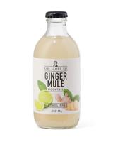 HEMA Alcoholvrije ginger mule 250ml - thumbnail