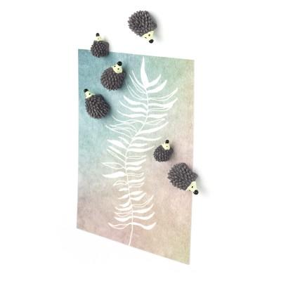 Trendform Magnetische Egel - set van 6 verschillende