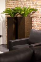 Cycas deluxe kunstpalm 60cm - UV bestendig - thumbnail