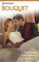 Geheime ontmoeting - Natalie Anderson - ebook - thumbnail