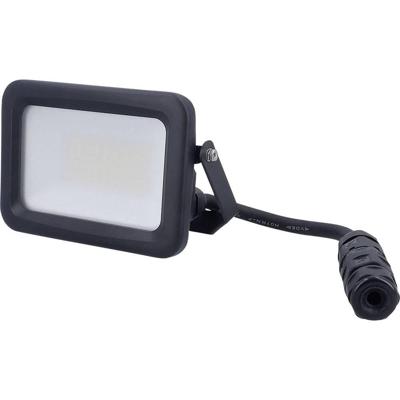 AS Schwabe Optiline 46660 LED-buitenschijnwerper Energielabel: E (A - G) LED 30 W Zwart