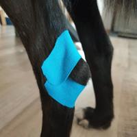 Blue 6 cm x 5 m rol 1st - thumbnail