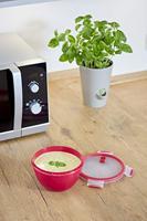 Emsa Clip & Micro vershoudbakje 1,1 L doos - thumbnail