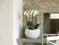 Bama Sfera Bloempot 23L 40.5x32 cm Wit - thumbnail