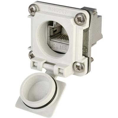 Telegärtner 100022954 STX V6 RJ45-flensset variant 6 Koppeling, inbouw Aantal polen: 8P8C Lichtgrijs 1 stuk(s)