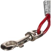 Hondenriem Trixie Rood 5 m - thumbnail