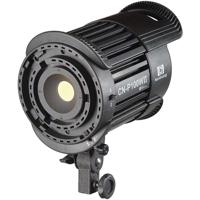 Kaiser NanGuang LED-Studiolicht P 100 WII - thumbnail