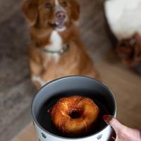 Nobby STARSNACK Barbecue Chicken Donut ca. 5,0 cm, 3 stuks, (3 x 110g) - thumbnail