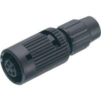 binder 99 0972 100 02-20 Kabeldoos Bus, recht Totaal aantal polen: 2 Serie (ronde connectoren): 710 1 stuk(s) - thumbnail