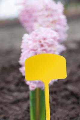 Moestuin Plaatetiketten 14cm - Geel