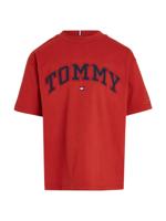 Varsity Embroidery T Dark Magma - thumbnail