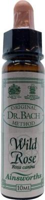 Ainsworths Wild rose Bach 10 Milliliter