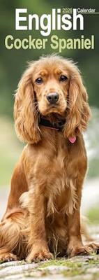 Engelse Cocker Spaniel Kalender 2026 Slimline Engelse Cocker Spaniel Kalender 2026 Slimline