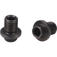 Elvedes klembouten m9×1,25 voor shimano (2st) - thumbnail