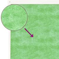 VidaXL Hondenhok 159x120x88,5 cm massief grenenhout mokkakleurig - thumbnail