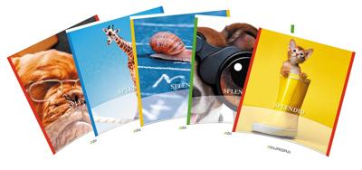 Splendid schrift, 36 bladzijden, ft 16,5 x 21 cm, 2 lijnen