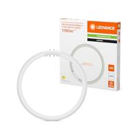 LEDVANCE LED-buis-Buis Energielabel: D (A - G) T5 11.6 W Neutraalwit 1 stuk(s) (Ø x l) 16.50 mm x 225.00 mm - thumbnail