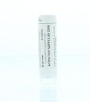 Aconitum napellus 200K 6 Gram - thumbnail