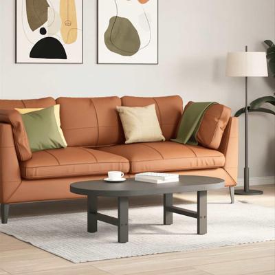 Salontafelpoten 2 st 50x(30-31) cm staal antracietkleurig