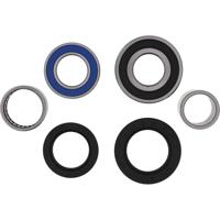 ALL BALLS Racing wiellagerset wheel bearing sets 25-147 complete with simmerrings - thumbnail