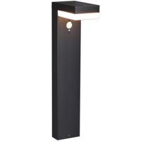 LED&apos;s Light RVS Solar LED Tuinlamp Paallamp met Bewegingssensor - Draadloos - 3 standen - Zwart - thumbnail
