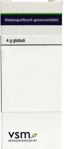 VSM Bryonia cretica (alba) 30K (4 gr)