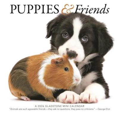 Puppies en Vrienden Kalender 2026 Mini