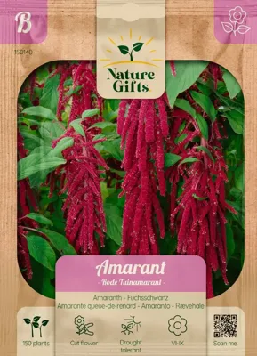 Amarant 150st Amarant 150st