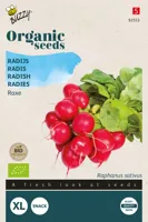 Zaden Organic Radijs Raxe (BIO) Buzzy - Buzzy - thumbnail