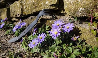 De Wit Ninja cultivator dewit