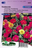 Portulaca Grandiflora zaden Choice Mix - thumbnail