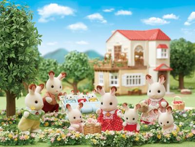 The Rabbit Chocolate - Sylvaniaanse families - 5655 - van 3 jaar oud
