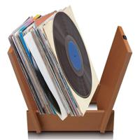 Organisator voor maximaal 40 records Bruin - thumbnail