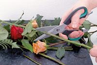 Wolfcraft Universele huishoudschaar | 1 stuk - 4164000 - thumbnail